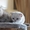Шотландские короткошерстные котята шоу-класса - Изображение #2, Объявление #128779