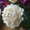 Свадебные букеты, цветочные украшения - Изображение #4, Объявление #272208