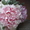 Свадебные букеты, цветочные украшения - Изображение #3, Объявление #272208