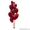 Доставка воздушных гелиевых шаров от Шоу Тайм - Изображение #4, Объявление #792219