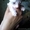 Продам котят породы донской сфинкс, с документами. Отец - Интерчемпион - Изображение #2, Объявление #937113