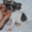 Продается щенок чихуахуа. ,  возраст 2, 5 месяца
